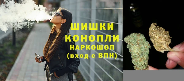 ГАЛЛЮЦИНОГЕННЫЕ ГРИБЫ Наволоки