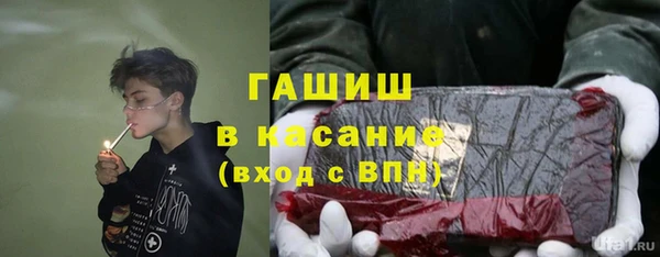 прущие грибы Надым