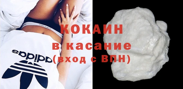 прущие грибы Надым