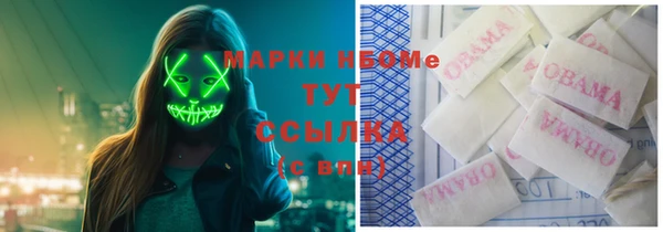 ГАЛЛЮЦИНОГЕННЫЕ ГРИБЫ Наволоки