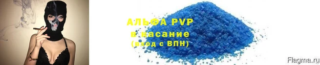 прущие грибы Надым