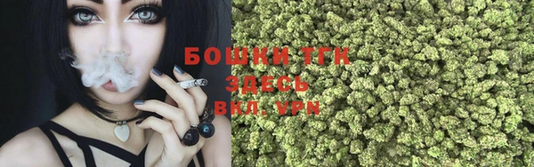 ГАЛЛЮЦИНОГЕННЫЕ ГРИБЫ Наволоки
