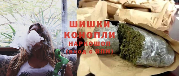 прущие грибы Нефтекумск