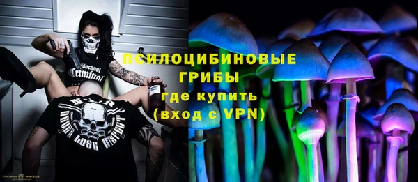 ГАЛЛЮЦИНОГЕННЫЕ ГРИБЫ Наволоки