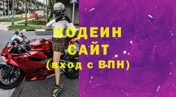 прущие грибы Надым
