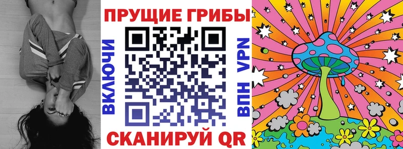магазин продажи kraken ТОР Псилоцибиновые грибы Magic Shrooms Пионерский